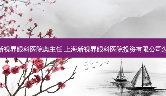 上海新视界眼科医院栾主任 上海新视界眼科医院投资有限公司怎么样