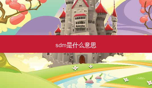 sdm是什么意思