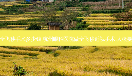 之江院区全飞秒手术多少钱 杭州眼科医院做全飞秒近视手术,大概要花多少钱